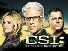 CSI: Crime Scene Investigation: Season 13