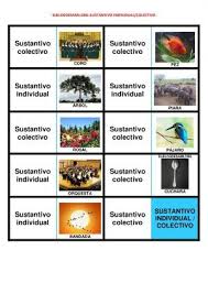 .individuales y colectivos ejemplos de sustantivos masculinos y femeninos ejemplos de sustantivos individuales y si consideramos personal como sustantivo colectivo, el individual sería trabajador o empleado, pues el conjunto de ellos es el personal por. Lengua El Blog De Sami Sustantivos Colectivos Sustantivos Individuales Blog