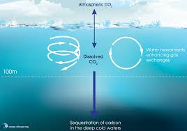 carbon sinks: a brief review earth