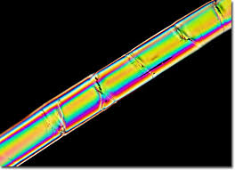 Image result for Polarized Microscopy