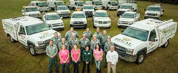 Contact turner pest control for complete pest control services for your ocala, fl home. About Regal Termite And Pest Control Regal Pest Control