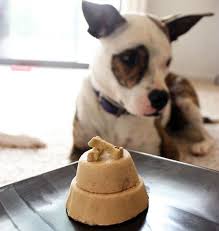 Pick a recipe with ingredients your dogs like best. Best Dog Cake Recipes Throw A Party For Your Pooch K9 Of Mine