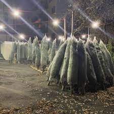 Maybe you would like to learn more about one of these? Where To Buy A Real Tree Wreaths In Hoboken And Jersey City Hoboken Girl