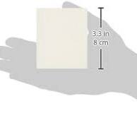 Special Tea Company 100 Count Tea Bag Envelopes/Favor Bags