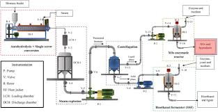 The dtm inclusion increased the hepatosomatic index in fish fed tm100. Circular Bioeconomy And Integrated Biorefinery In The Production Of Xylooligosaccharides From Lignocellulosic Biomass A Review Sciencedirect