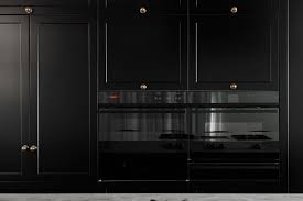 bold elegance kitchen in residence