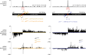 *materiale (lectii +formule +exercitii rezolvate matematica) gimnaziu si liceu; The Evolutionarily Conserved Pirna Producing Locus Pi6 Is Required For Male Mouse Fertility Nature Genetics