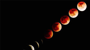 The best images of the supermoon and the total lunar eclipse from across the globe. Ml48mbqsixgamm