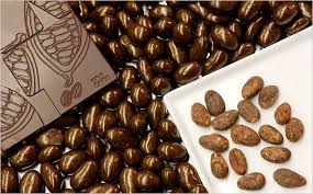 Chocolate begins with theobroma cacao tree. Rare Cacao Beans Discovered In Peru The New York Times