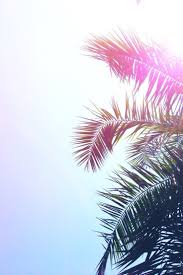 Summer Achtergronden Patroon Achtergrond Achtergrond