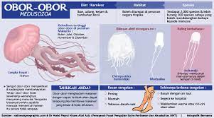 Obòr — ôra m (ȍ ó) 1. Bernama Radio Infografik Tahukah Anda Obor Obor Facebook