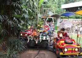 افضل 4 انشطة في حديقة سفاري بونشاك اندونيسيا رحلاتك