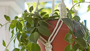 Check spelling or type a new query. Macrame Plant Hanger