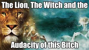 Note a reaction image of the the movie's cover and this quote is used. The Lion The Witch And The Audacity Of This Bitch Know Your Meme