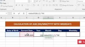 The resultant sheet with formatted dates: How To Calculate Age In Excel In Dd Mm Yyyy Herunterladen