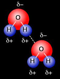 Two hydrogen atoms each join up with an oxygen atom (h 2 o) and shake hands, or share two electrons. Primary And Secondary Bonds Owlcation