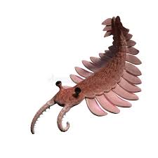 Anomalocaris (unlike other shrimp, or abnormal shrimp) is an extinct genus of radiodont (anomalocaridid), an order of animals thought to be closely related to ancestral arthropods. Anomalocaris Creature Of The Cambrian Period Isolated On White Background 3d Science Illustration Stock Illustration Illustration Of Life Biology 145551368