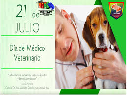 Royal canin se fundó en 1968 por un veterinario con una visión: 21 De Julio Dia Del Medico Veterinario