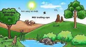 Check spelling or type a new query. O Nhiá»…m Moi TrÆ°á»ng La Gi Thá»±c Tráº¡ng Nguyen Nhan Cach Kháº¯c Phá»¥c
