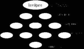 Acest cuvant nu exista in dex sau domm! Proiect Didactic Succesul In Invatarea Scolara
