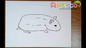 How To Draw A Hamster Step By Step For Kids - Youtube
