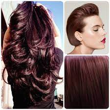 Image 3 16 14 At 4 05 Pm 2 Hair Color Formulas Hair Color Dark Violet Brown Hair