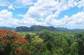 Despite its longstanding love affair with tourism, this slow, relaxed, wonderfully traditional settlement is a place that steadfastly refuses to put on a show. Vinales Der Wohl Schonste Ort In Kuba Likeontravel