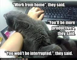 Funny Work From Home Memes You Can Totally Relate To