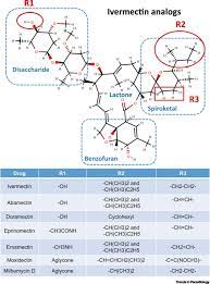 A potent new antiparasitic agent. Ivermectin An Anthelmintic An Insecticide And Much More Trends In Parasitology