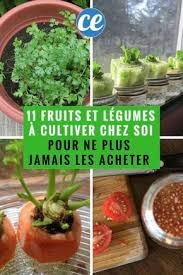 11 Fruits Et Legumes Que Vous Ne Devriez Acheter Qu Une Seule Fois Dans Votre Vie Si Vous Connaissez Ces Astuces Fruits Et Legumes Planter Des Legumes Jardin De Legumes