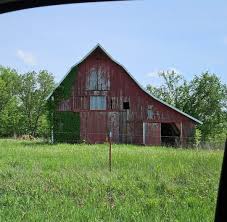 Samuel Gines Sr and Ellen Elizabeth Gines Descendants