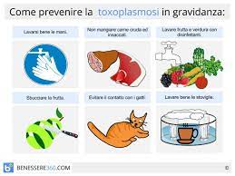 Ecco un elenco di alcuni alimenti che si dovrebbe evitare di mangiare durante la gravidanza si dovrebbe evitare di mangiare formaggio in gravidanza. Toxoplasmosi In Gravidanza Rischi Prevenzione E Cibi Da Evitare