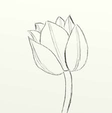 Maybe you would like to learn more about one of these? How To Draw A Beautiful Tulip Feltmagnet