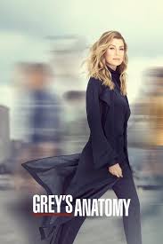 Grey S Anatomy Full Episodes Of Season 16 Online Free In 2020 Greys Anatomy Season Greys Anatomy Episodes Watch Greys Anatomy