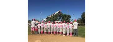 ← cactus wren little league co. Home