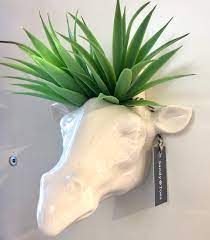 They are excellent gifts for both personal and corporate purposes. Ceramic Wall Planter Giraffe Head Sandy Toes Gifts