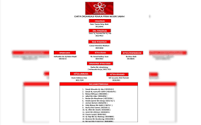 Chart Showing Hierarchy Of Sabah Ppbm Causes Uneasiness