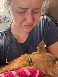 A family friend did this painting of my beloved Bonnie that passed away  last year 2 days after Thanksgiving 😢