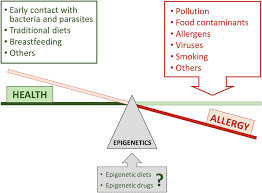 Image result for Allergic Triad