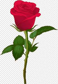 There is no psd format for flower png images, bouquet, roses in our system. Flower Emoji Rose Emoji Png Transparent Hd Png Download 463x663 1122622 Png Image Pngjoy