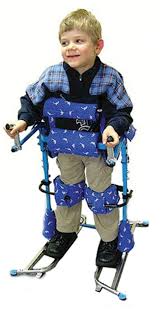 Image result for Parapodium