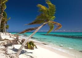 Le spiagge soleggiate di aruba tornano ad accogliere i visitatori! Come Scegliere L Isola Caraibica Perfetta Lonely Planet