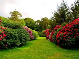 Beginners need to understand the very basics of this endeavor to be on their way. Amazing Garden Wallpapers Top Free Amazing Garden Backgrounds Wallpaperaccess