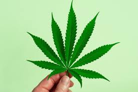 Sundial growers is a privately held cannabis company that cultivates safe, consistent cannabis for today's active lifestyles. Why Sundial Growers Stock Jumped Today Nasdaq