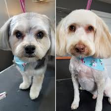 Kid's haircuts at True Dream Spa in Pataskala