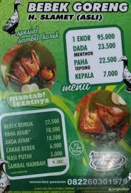 Bayangkan saja jika anda mendirikan budidaya hibrida dan mendapatkan banyak keuntungan. Harga Bebek Haji Slamet Nusagates