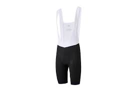 Active Gearup Descente Aquagrid Bib Shorts Mens