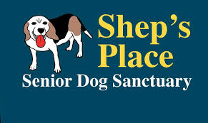Is currently accepting adoptive families, including african american and other minority families. Shep S Place Senior Dog Sanctuary A Home For Senior Dogs In The Kansas City Area