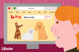 Bing helps you turn information into action, making it faster and easier to go from searching to doing. What Is Bing And How To Use It