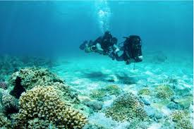 Competitors possess many of the same characteristics as gymnasts and dancers, including strength, flexibility, kinaes. Padi Open Water Diver Divers Down Uae